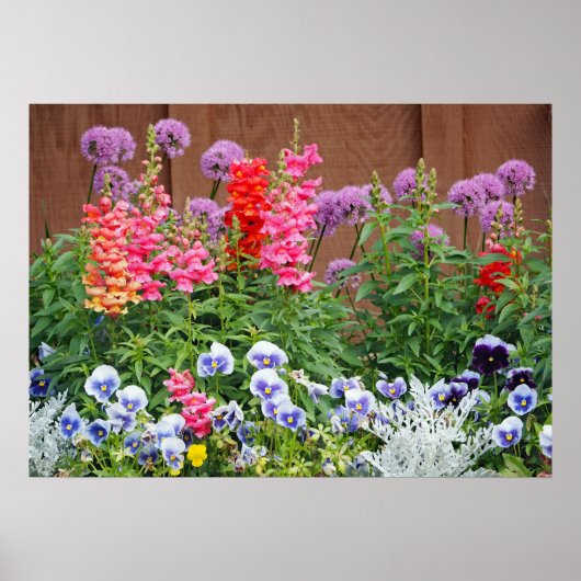 Foto kleurrijke bloemtuin poster (Voorkant)