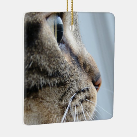 Foto Kool Kat Face Profile Close-up Keramisch Ornament (Rechts)