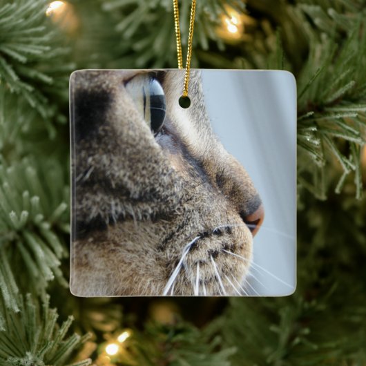 Foto Kool Kat Face Profile Close-up Keramisch Ornament (Boom)