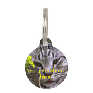 foto-Label Huisdierpenning