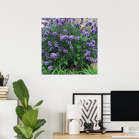 Foto Lavender Flowers Poster (Thuiskantoor)