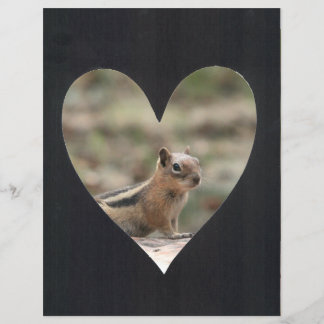 Foto-Lijst toevoegen (zwart)