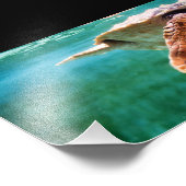 Foto Loggerhead #2 Afdruk (Hoek)