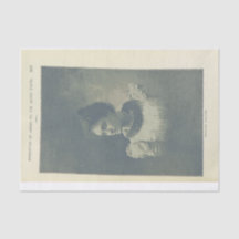  foto loskoppeling Princess