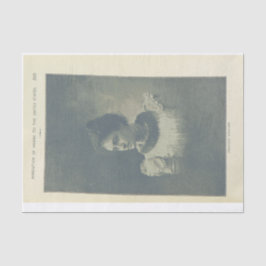  foto loskoppeling Princess Tissuepapier