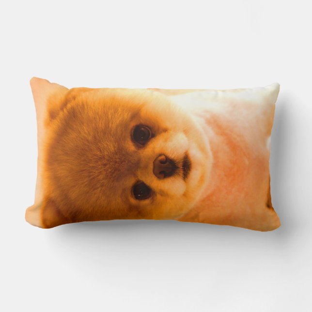 Foto: Lumbar Pillow Gift Kussen (Voorkant)