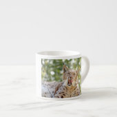 Foto lynx, kat, dieren . espresso cup espresso kop (Voorkant rechts)