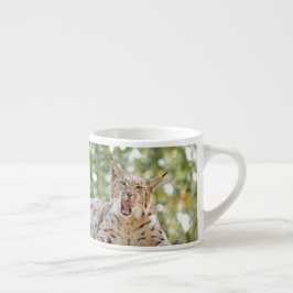 Foto lynx, kat, dieren . espresso cup espresso kop