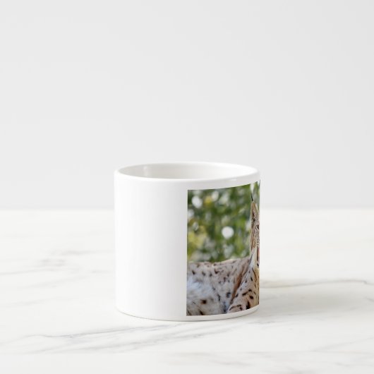 Foto lynx, kat, dieren . espresso cup kop (Voorkant)