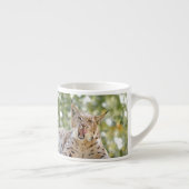 Foto lynx, kat, dieren . espresso cup kop (Rechts)