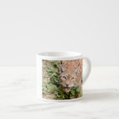 Foto lynx, kat, dieren . espresso cup kop (Voorkant rechts)