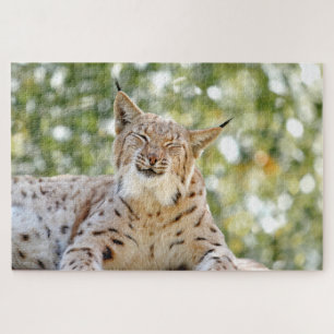 Foto lynx , pet , animal 0296. legpuzzel