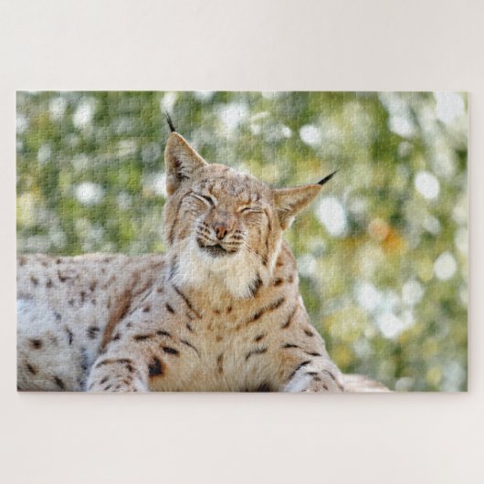 Foto lynx , pet , animal 0296. legpuzzel (Horizontaal)