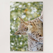 Foto lynx , pet , animal 0296. legpuzzel (Verticaal)