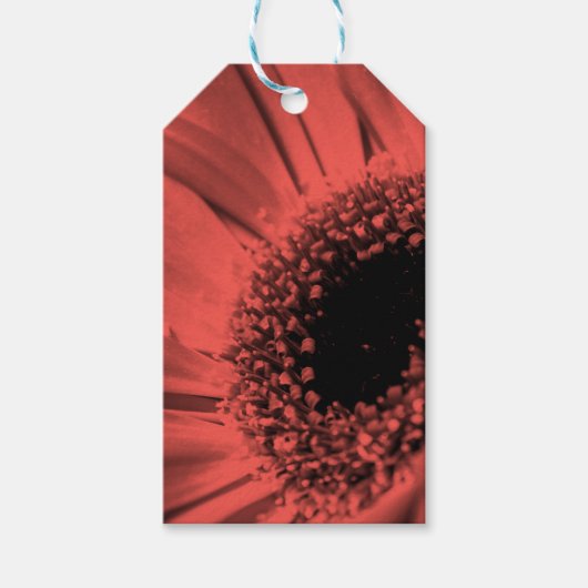 Foto, macro cadeaulabel (Voorkant)