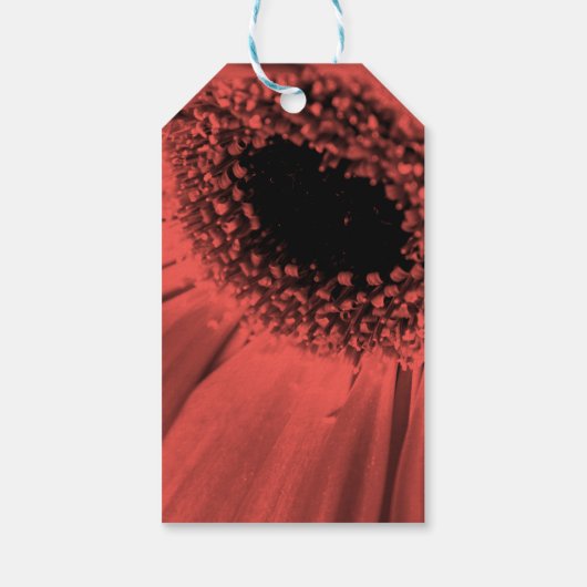 Foto, macro cadeaulabel (Achterkant)