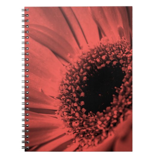 Foto, macro notitieboek (Voorkant)