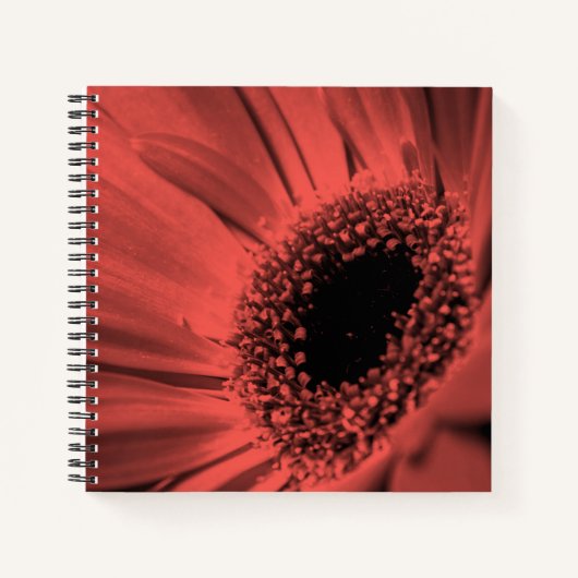 Foto, macro notitieboek (Voorkant)