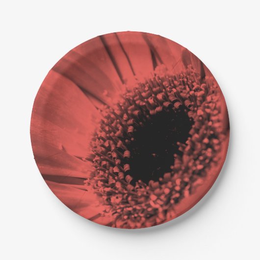 Foto, macro papieren bordje (Voorkant)