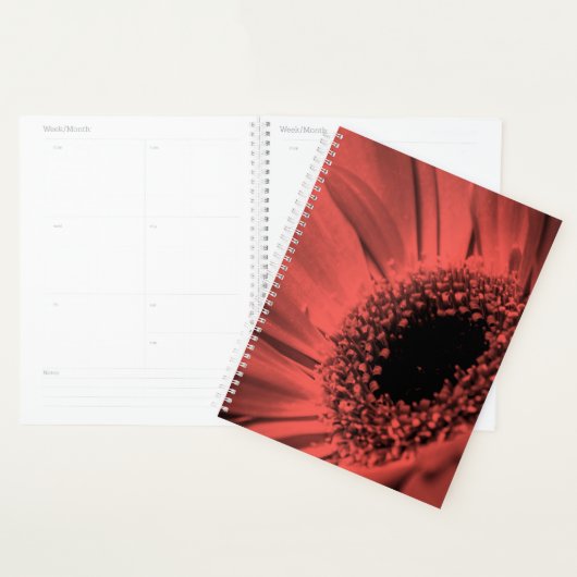 Foto, macro planner (Display)