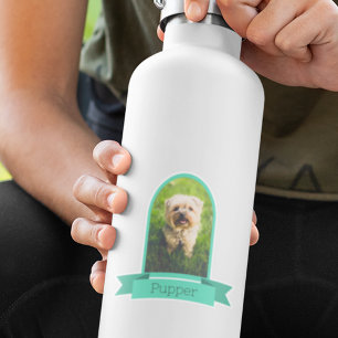 Foto maken voor huisdieren sticker