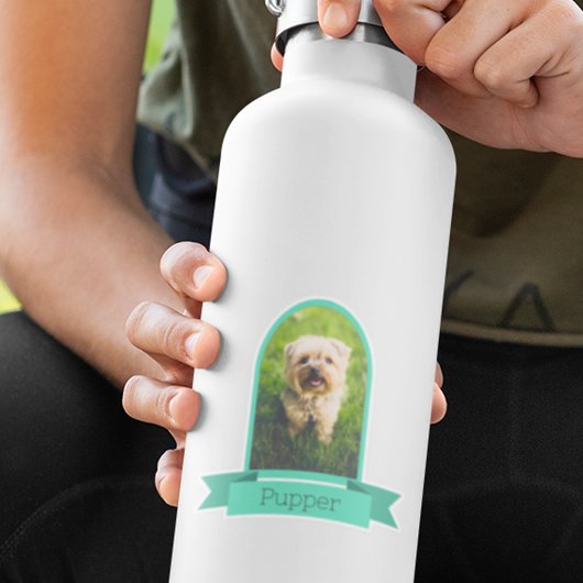 Foto maken voor huisdieren sticker