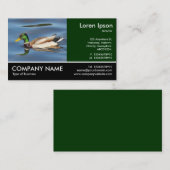 Foto: Mallard Duck Visitekaartje (Voorkant / Achterkant)