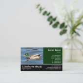 Foto: Mallard Duck Visitekaartje (Staand voorkant)