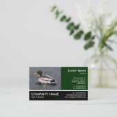 Foto: Mallard Duck Visitekaartje (Staand voorkant)