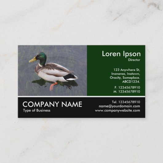Foto: Mallard Duck Visitekaartje (Voorkant)