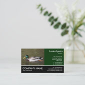 Foto: Mallard Duck Visitekaartje (Staand voorkant)