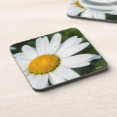 foto margriet met de dauw van de ochtend onderzetter (Linkerzijde)