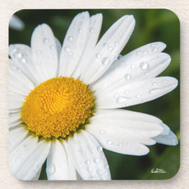 foto margriet met de dauw van de ochtend onderzetter