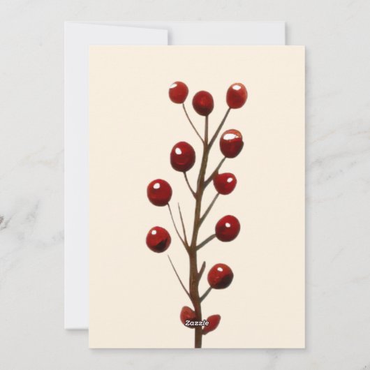 Foto Mele Kalikimaka Merry Christmas Hawaian Feestdagenkaart (Achterkant)