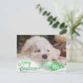 Foto Merry Christmas Sneeuw Overlay Budget Groen Feestdagenkaart (Staand voorkant)