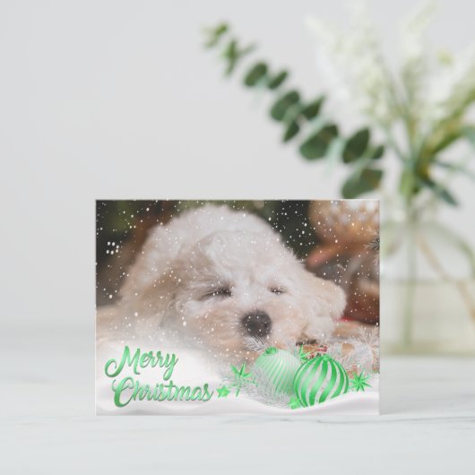 Foto Merry Christmas Sneeuw Overlay Budget Groen Feestdagenkaart (Staand voorkant)