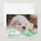 Foto Merry Christmas Sneeuw Overlay Budget Groen Feestdagenkaart (Voorkant / Achterkant)