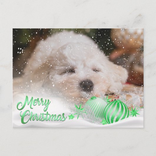 Foto Merry Christmas Sneeuw Overlay Budget Groen Feestdagenkaart (Voorkant)