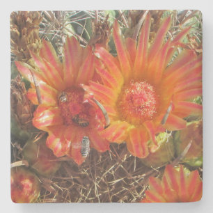 Foto met bijen, heldere Oranje Cactus Blooms Stenen Onderzetter