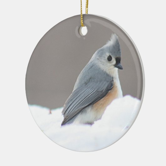 Foto met titel keramisch ornament (Links)