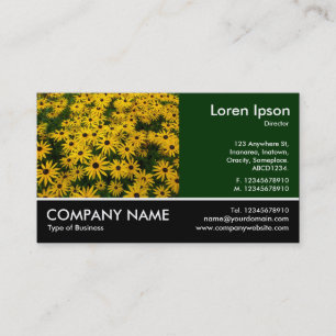 Foto met voet - Dk Groen - Black-eyed Susans Visitekaartje