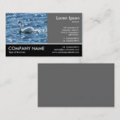 Foto met voettekst - 60pc Gray - Zwan Visitekaartje (Voorkant / Achterkant)