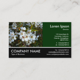 Foto met voettekst - Dk Green - Cherry Blossom Visitekaartje