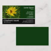 Foto met voettekst - Hover Fly on a Yellow Chrysan Visitekaartje (Voorkant / Achterkant)