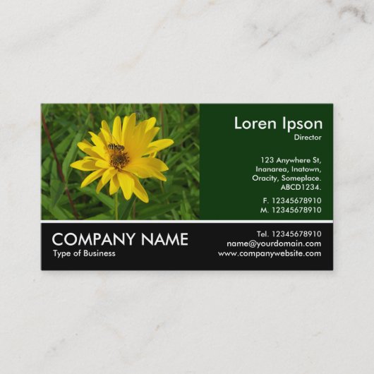 Foto met voettekst - Hover Fly on a Yellow Chrysan Visitekaartje (Voorkant)