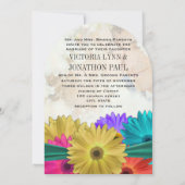 Foto Modern Bright Colorful Gerber Daisy Kaart (Achterkant)