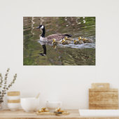 Foto Moeder Goose en Baby Geese Poster (Keuken)