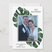 Foto Monstera We hielpen bij de aankondiging van d (Voorkant)