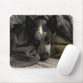 Foto Muismat - HAMbyWG (Met muis)