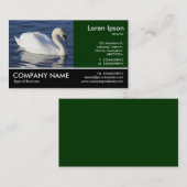 Foto: Mute Swan Visitekaartje (Voorkant / Achterkant)